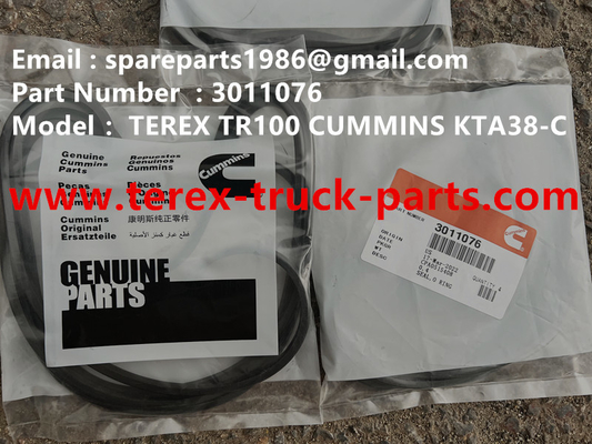 China 3011076 SEAL TEREX CUMMINS TR50 TR60 TR100 TR70 TRAMPING TROLLER de minas fuera de la autopista TRAMPING rígido MT4400AC proveedor