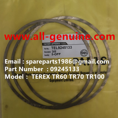 China TEREX 09245133 CUÑA NHL DUMP TRUCK TR35 TR50 TR60 TR100 3305B 3305F 3303 3307 TR45 TR70 MT4400 proveedor