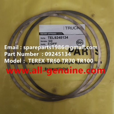 China TEREX 09245134 CUÑA NHL DUMP TRUCK TR35 TR50 TR60 TR100 3305B 3305F 3303 3307 TR45 TR70 MT4400 proveedor