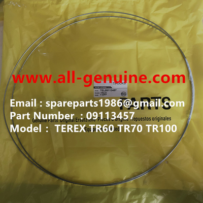 China TEREX 09113457 CABLE NHL CAMIÓN VOLQUETE TR35 TR50 TR60 TR100 3305B 3305F 3303 3307 TR45 TR70 MT4400 proveedor