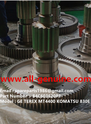 China 84C603620P1 GE 730E 830E TEREX UNIT RIG BUCYRUS MT4400AC MT5500 MT3600 NTE240 NTE260 proveedor