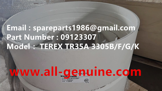 China 09123307 ANILLO ESPACIAL TEREX NHL CAMIÓN VOLQUETE RÍGIDO TR35 TR50 TR60 TR100 3305B 3305F 3303 3307 TR45 TR70 MT4400 proveedor