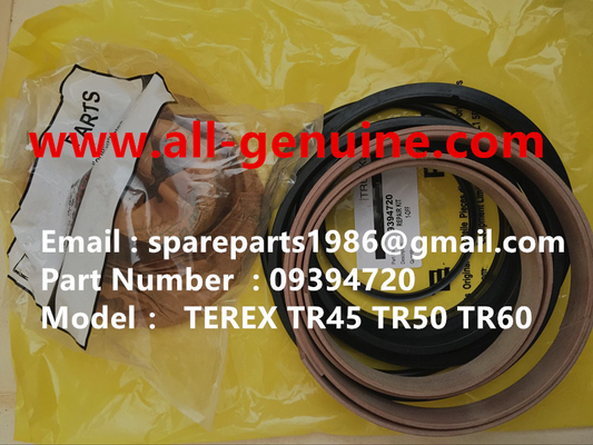 China 09394720 KIT DE REPARACIÓN DE TEREX NHL SANY TR35A 3303 3305 3307 TR50 TR60 TR100 NTE240 NTE260 MT3600 MT3700 MT4400AC proveedor