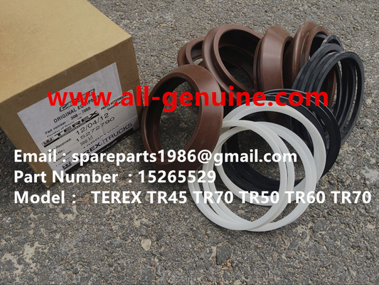 China TEREX 15265529 KIT DE SELLOS NHL CAMIÓN VOLQUETE RÍGIDO TR35 TR50 TR60 TR100 3305B 3305F 3303 3307 TR45 TR70 MT4400 CUMMINS proveedor