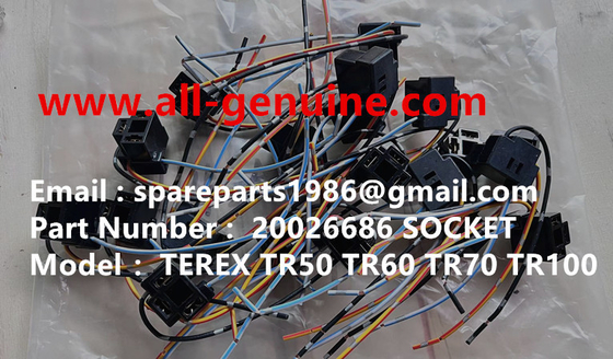 China 20026686 H4 LAMPA SOCET TEREX RÍGIDO camión de descarga 3305F 3303 3307 3304 TR35 TR50 TR60 TR100 MT4400 unidad rig Allison CUMMINS proveedor