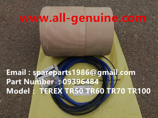 China 9396484 KIT DE SUSPENSIÓN TEREX TRUCK DE DUMP TR35 TR50 TR60 TR100 CUMMINS ALLISON UNIT RIG MT4400 MT3600 MT3300 MT3700 SANY proveedor