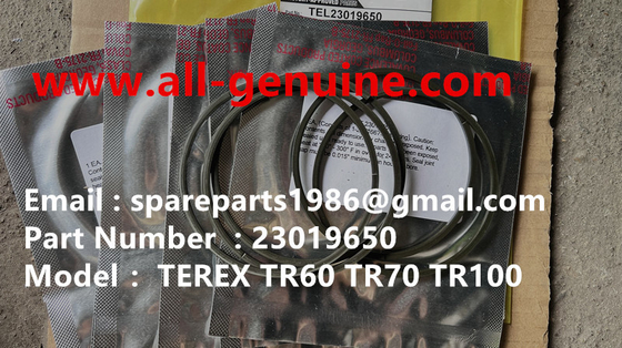 China 23019650 TRANSMISIÓN ALLISON TEREX TR35A 3305F 3305G 3305K 3305B RTD PIEZAS ORIGINALES proveedor