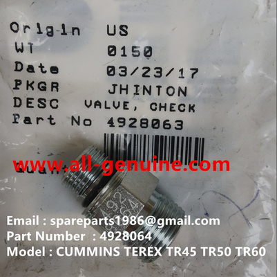 China TEREX CUMMINS 4928064 VÁLVULA DE RETENCIÓN NHL CAMIÓN VOLQUETE RÍGIDO TR35 TR50 TR60 TR100 3305B 3305F 3303 3307 TR45 TR70 MT4400 proveedor