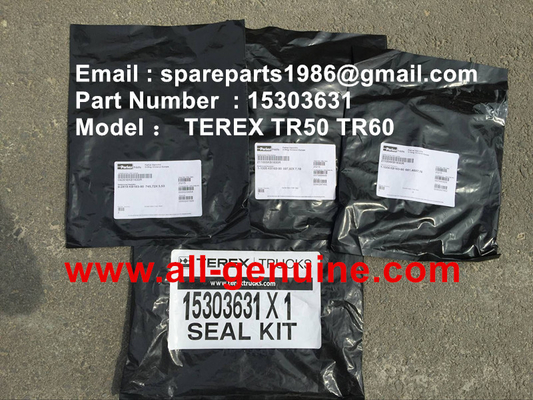 China TEREX 15303631 KIT DE SELLOS  VOLQUETE NHL MINERÍA CANTERA TR50 TR60 TR70 proveedor