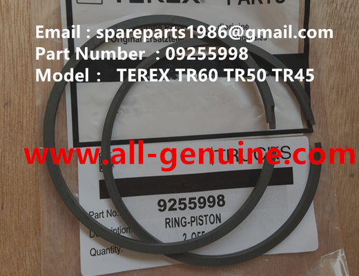 China Terex 09255998 Pistón de anillo NHL Minería Minería Volcado TR35 TR50 TR60 TR100 3305B 3305F 3303 3307 TR45 TR70 MT4400 proveedor