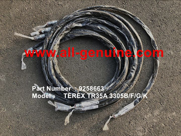 China TEREX 09258663 MANGUERA NHL PARA CAMIÓN VOLQUETE DE MINERÍA TR35 TR50 TR60 TR100 3305B 3305F 3303 3307 TR45 TR70 MT4400 proveedor
