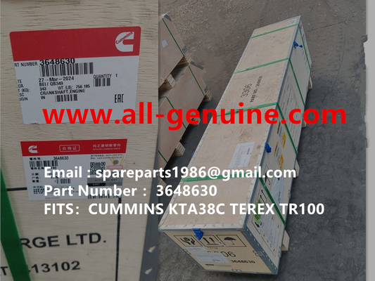 China 3648630 HORNADO KTA38C CUMMINS TEREX NHL TRUCK TR35 TR50 TR60 TR100 3305B 3305F 3303 3307 TR45 TR70 MT4400 proveedor
