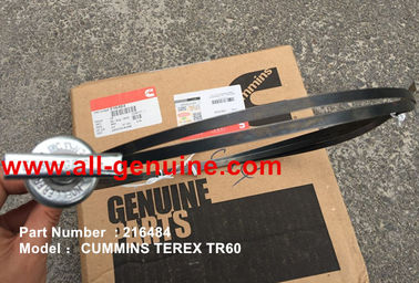 China CUMMINS TEREX 216484 DIPSTICK NHL MINING DUMP TRUCK TR35 TR50 TR60 TR100 3305B 3305F 3303 3307 TR45 TR70 MT4400 El transporte de residuos de las minas y de los residuos de la minería se realiza a través de un depósito de residuos de las minas. proveedor