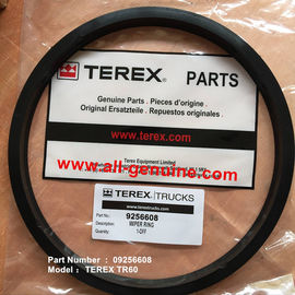 China TEREX 09256608 ANILLO LIMPIADOR TR45 TR50 TR60 TR70 NHL CAMIÓN VOLQUETE MINERO proveedor