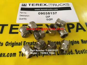 China TEREX 09035137 TAPA NHL CAMIÓN VOLQUETE MINERÍA CANTERA TR50 TR60 TR70 proveedor