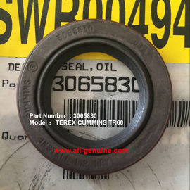 China CUMMINS ENGINE TEREX 3065830 SELLO DE ACEITE NHL VOLQUETE MINERÍA CANTERA TR45 TR50 TR60 TR70 proveedor