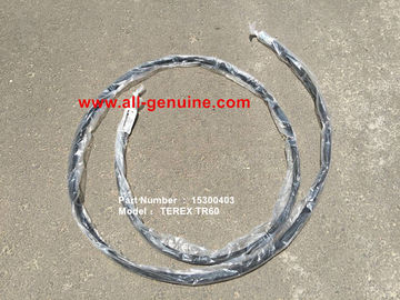 China TEREX 15300403 HOSE ASSY NHL DUMP TRUCK ROCERÍA MINERA TR45 TR50 TR60 TR70 proveedor