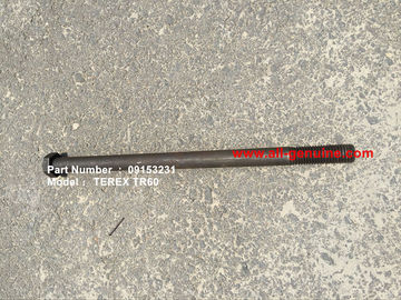 China TEREX 09153231 BOLT NHL DUMP TRUCK MINERÍA TR45 TR50 TR60 TR70 proveedor