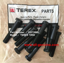 China TEREX 15272863 TORNILLO NHL DUMP TRUCK MINERÍA CANTERA TR45 TR50 TR60 TR70 proveedor