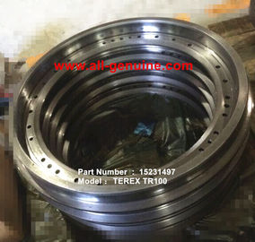 China TEREX 15231497 PISTON NHL DUMP TRUCK MINERÍA TR50 TR60 TR70 TR100 proveedor