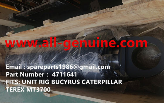 China 4711641 CILINDRO DE SUSPENSIÓN GE TEREX UNIT RIG BUCYRUS MT4400AC MT5500 MT3600 NTE240 NTE260 NHL DUMP TRUCK HAULER MINERÍA proveedor