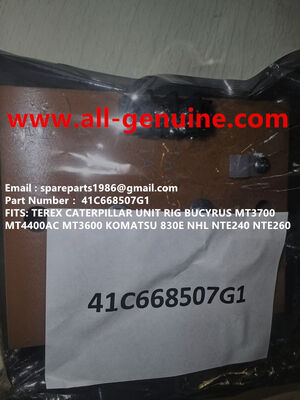 China 41C668507G1 PANEL DE TEMPERATURA AMBIENTE DE AIRE GE TEREX UNIT RIG BUCYRUS MT4400AC MT5500 MT3600 NTE240 NTE260 NHL camión de desecho transportador minero proveedor