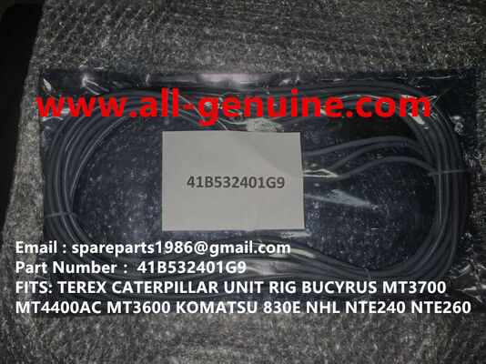 China 41B532401G9 CABLE GE TEREX UNIT RIG BUCYRUS MT4400AC MT5500 MT3600 NTE240 NTE260 NHL DUMP TRUCK TRANSPORTADOR MINERO proveedor