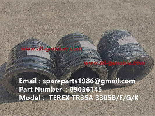 China 09036145 CUP DE CUERPO DE FRENO TEREX NHL SANY TR35A 3303 3305 3307 TR50 TR60 TR100 NTE240 NTE260 MT3600 MT3700 MT4400AC El equipo de frenado de cuero para frenos está equipado con un equipo de frenado para el tren. proveedor