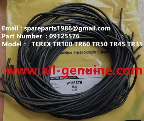 China 09125576 SELLO DE TEREX NHL SANY TR35A 3303 3305 3307 TR50 TR60 TR100 NTE240 NTE260 MT3600 MT3700 MT4400AC proveedor