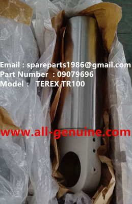 China 09079696 PISTÓN TEREX NHL DUMP TRUCK MINERÍA TA40 TR50 TR60 TR70 TR100 MT4400 MT3600 MT3700 MT5500 GE NTE240 NTE260 proveedor