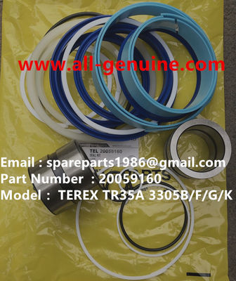 China 20059160 KIT DE SERVICIO TEREX TIMKEN CUMMINS NHL CAMIÓN VOLQUETE RÍGIDO TR35 TR50 TR60 TR100 proveedor