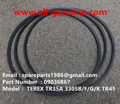 China TEREX 09036867 ANILLO DE RESPALDO FUERA DE CARRETERA NHL DUMP TRUCK TR35 TR50 TR60 TR100 3305B 3305F 3303 3307 TR45 TR70 MT4400 proveedor