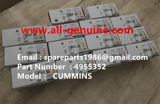China 4955352 BEARING MAIN CUMMINS MOTOR TEREX NHL TRUMP TRUCK TR35 TR50 TR60 TR100 3305B 3305F 3303 3307 TR45 TR70 MT4400 proveedor