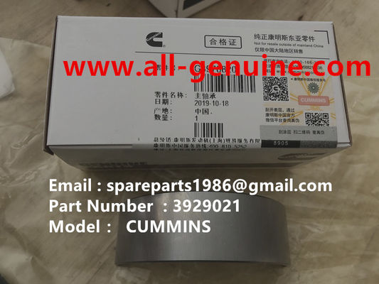 China 3929021 REALIDAD DE LOS RECAMBRAMENTOS MOTOR TEREX NHL TRUCK TR35 TR50 TR60 TR100 3305B 3305F 3303 3307 TR45 TR70 MT4400 proveedor