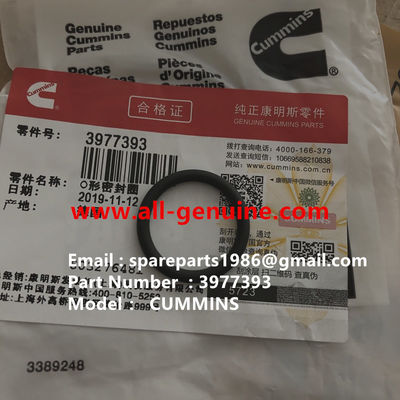 China 3977393 JUNTA TÓRICA MOTOR CUMMINS TEREX NHL DUMP TRUCK TR35 TR50 TR60 TR100 3305B 3305F 3303 3307 TR45 TR70 MT4400 proveedor