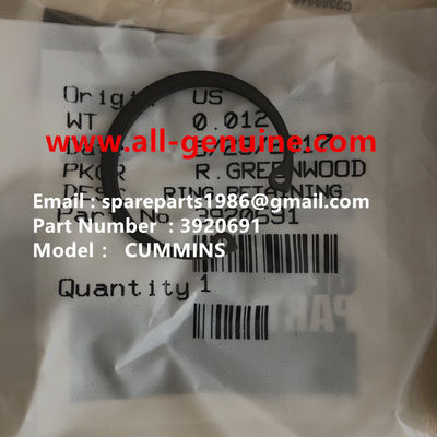 China 3920691 ANILLO MOTOR CUMMINS TEREX NHL DUMP TRUCK TR35 TR50 TR60 TR100 3305B 3305F 3303 3307 TR45 TR70 MT4400 proveedor