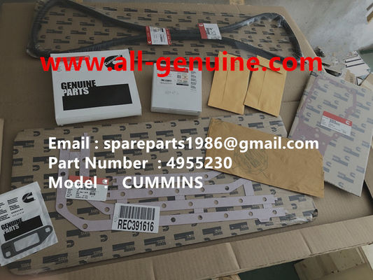 China 4955230 JUEGO DE JUNTAS MOTOR CUMMINS TEREX NHL DUMP TRUCK TR35 TR50 TR60 TR100 3305B 3305F 3303 3307 TR45 TR70 MT4400 proveedor