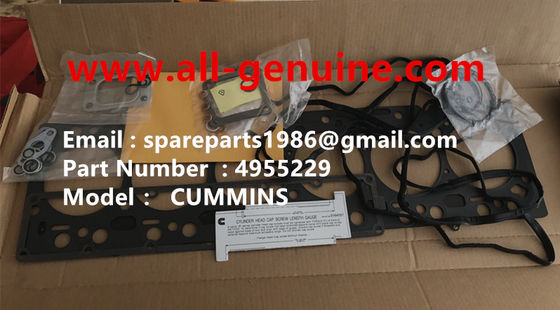 China 4955229 JUEGO DE JUNTAS MOTOR CUMMINS TEREX NHL DUMP TRUCK TR35 TR50 TR60 TR100 3305B 3305F 3303 3307 TR45 TR70 MT4400 proveedor