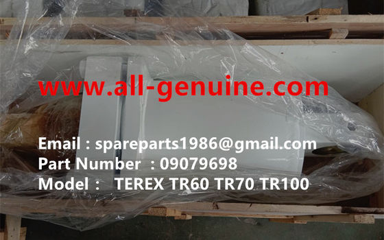 China 09079698 CILINDRO DE ELEVACIÓN TRASERO TEREX NHL SANY TR35A 3303 3305 3307 TR50 TR60 TR100 NTE240 NTE260 MT3600 MT3700 MT4400AC proveedor