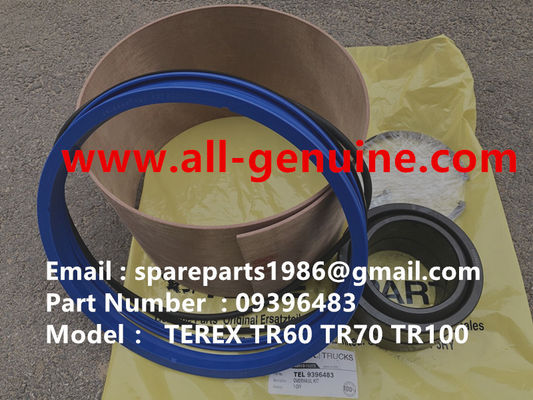 China 09396483 KIT DE SUSPENSIÓN TEREX NHL camión de descarga TR35 TR50 TR60 TR100 UNIT RIG de Allison MT4400 MT3600 MT3300 MT3700 SANY proveedor
