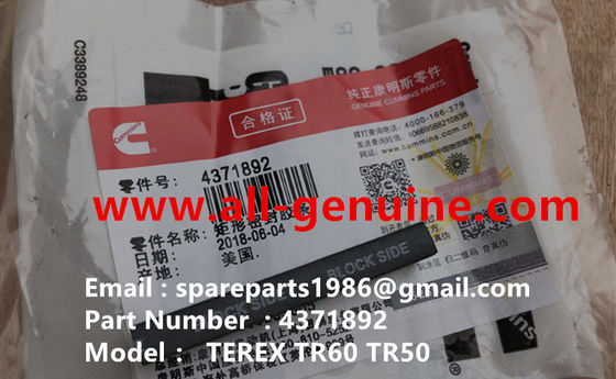 China CUMMINS 4371892 SELLO NHL CAMIÓN VOLQUETE TR35 TR50 TR60 TR100 3305B 3305F 3303 3307 TR45 TR70 TEREX ALLISON UNIT RIG MT4400 proveedor