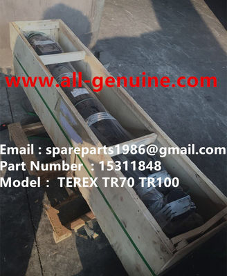 China TEREX 15311848 ENFRIADOR DE ACEITE PARA CAMIÓN VOLQUETE RÍGIDO NHL SANY 3303 3307 3304 TR35 TR50 TR60 TR100 MT4400 UNIT RIG ALLISON CUMMINS proveedor