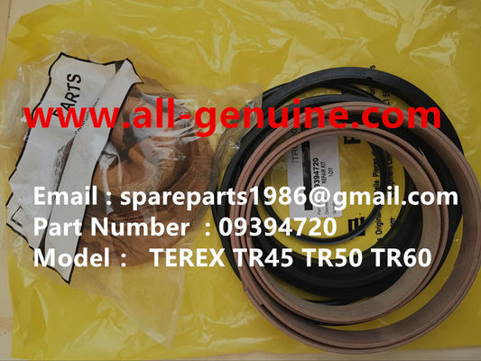 China 9394720 Kit de reparación de TEREX NHL SANY TR35A 3303 3305 3307 TR50 TR60 TR100 NTE240 NTE260 MT3600 MT3700 MT4400AC proveedor
