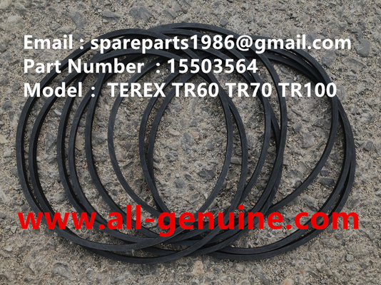 China 15503564 SEAL TEREX NHL camión de descarga TR100 camión de carga de la autopista proveedor