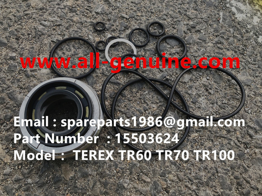 China 15503624 KIT DE SERVICIO TEREX NHL DUMP TRUCK TR100 HAULER TRUCK FUERA DE CARRETERA proveedor