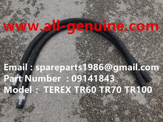 China TEREX 09141843 TUBO NHL CAMIÓN VOLQUETE RÍGIDO TR35 TR50 TR60 TR100 3305B 3305F 3303 3307 TR45 TR70 MT4400 proveedor