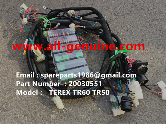 China TEREX 20030551 MAZO DEL TABLERO MINERÍA NHL CAMIÓN VOLQUETE TR35 TR50 TR60 TR100 3305B 3305F 3303 3307 TR45 TR70 MT4400 proveedor
