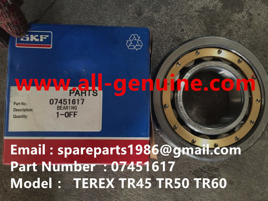 China 7451617 SKF BEARING OF TEREX NHL SANY TR35A 3303 3305 3307 TR50 TR60 TR100 NTE240 NTE260 MT3600 MT3700 MT4400AC Las condiciones de las condiciones de trabajo de los trabajadores de los Estados miembros y de los trabajadores de los Estados miembros deben ser las siguientes: proveedor