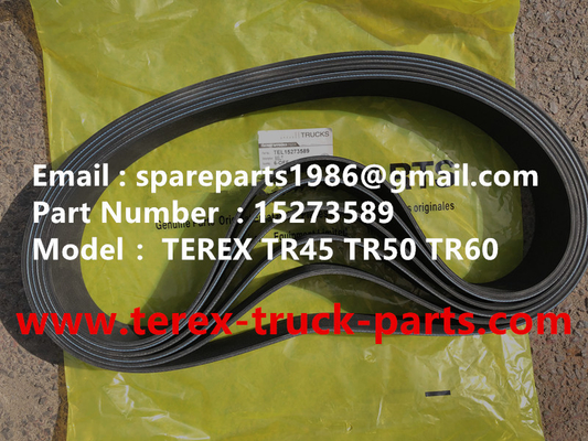 China CORREA EN V TEREX 15273589  FUERA DE CARRETERA  VOLQUETE NHL TR35 TR50 TR60 TR100 3305B 3305F 3303 3307 TR45 TR70 MT4400 CUMMINS proveedor